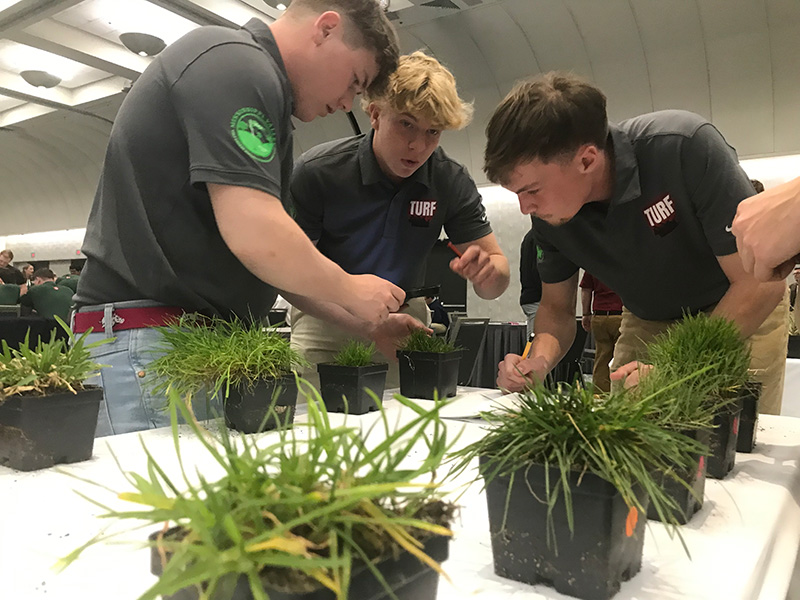 Three young men in black polos examine samples of grass on a table