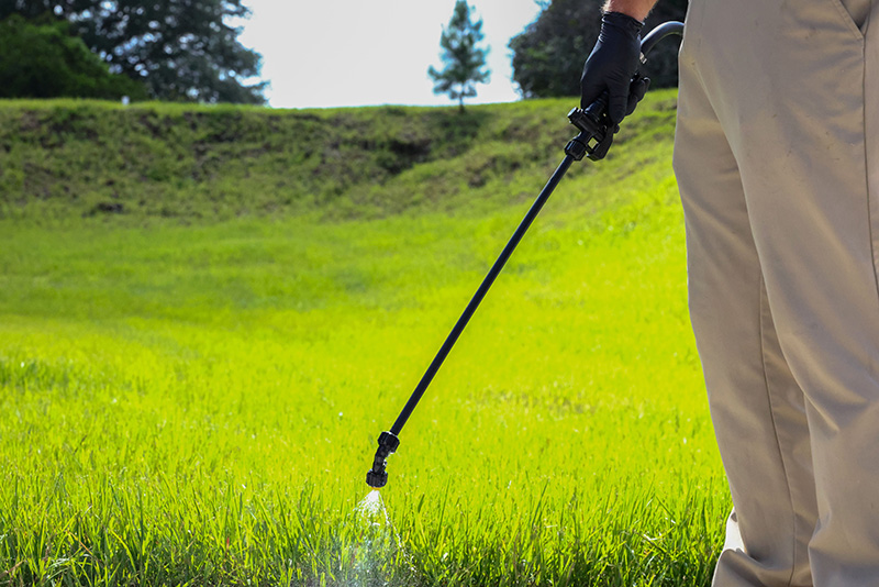 Man spraying chemicals on grass backlit by the sun