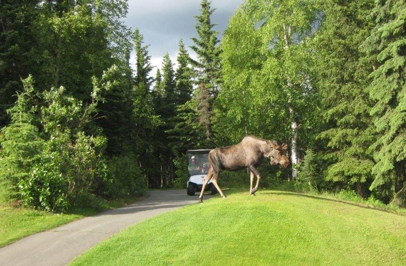 Anchorage Alaska Golf Course