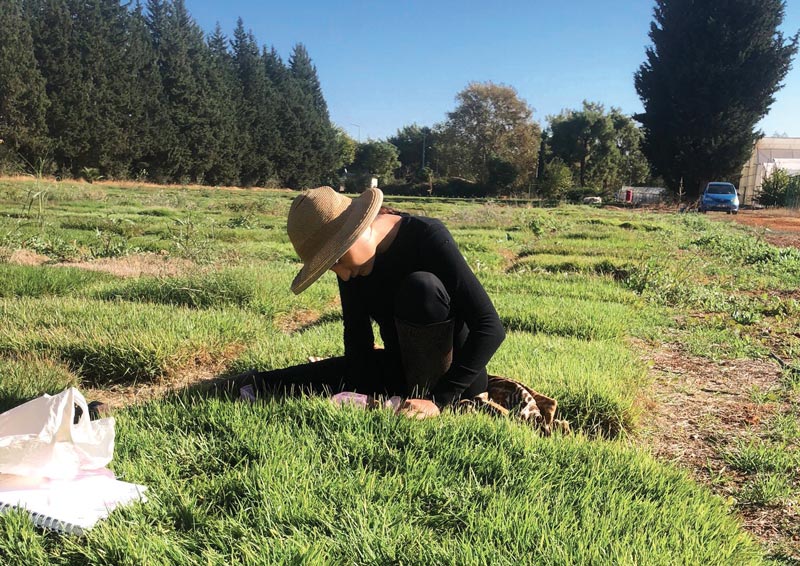 Women in turfgrass