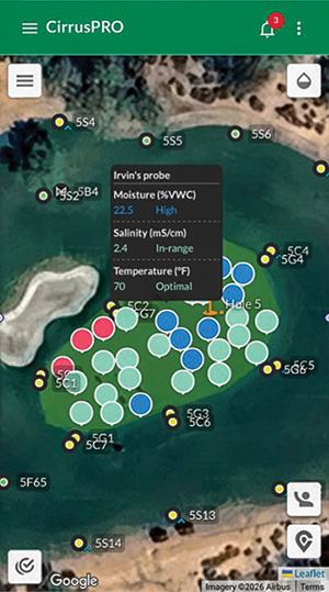 CCIV fertilizer granules
