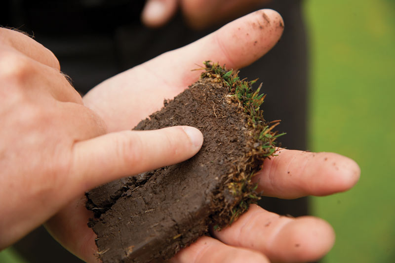 Develop a turfgrass cultivation program Turfgrass soil problems