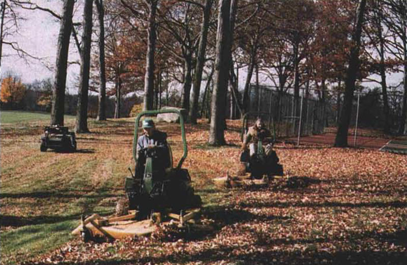 Golf course leaf mulch