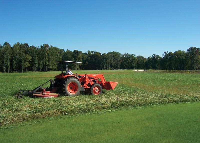 Naturalized area golf course