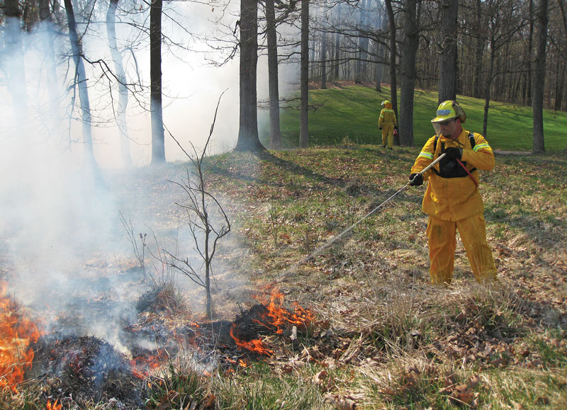 Prescribed fire golf course