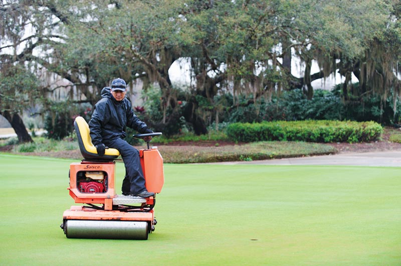 Rolling golf course greens