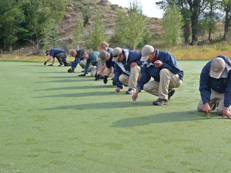 Winter golf course maintenance: Keeping the green at 20 below Elk damage grass