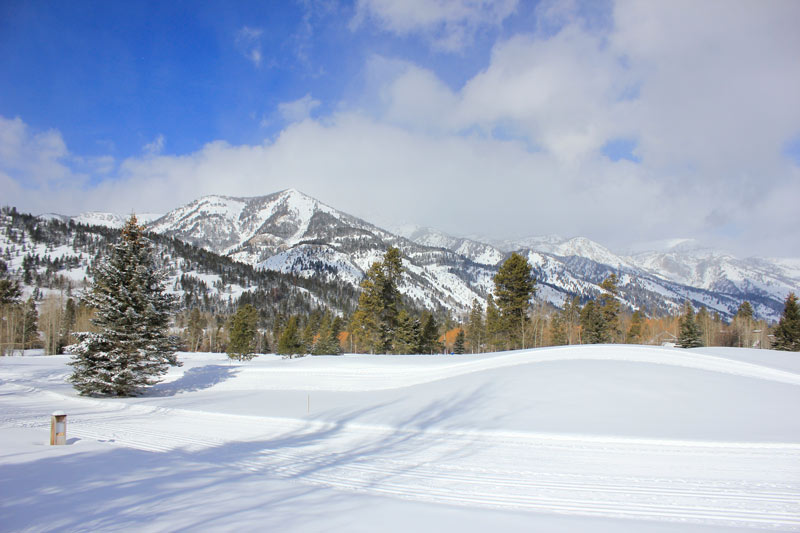 Winter golf course maintenance: Keeping the green at 20 below Teton Pines golf
