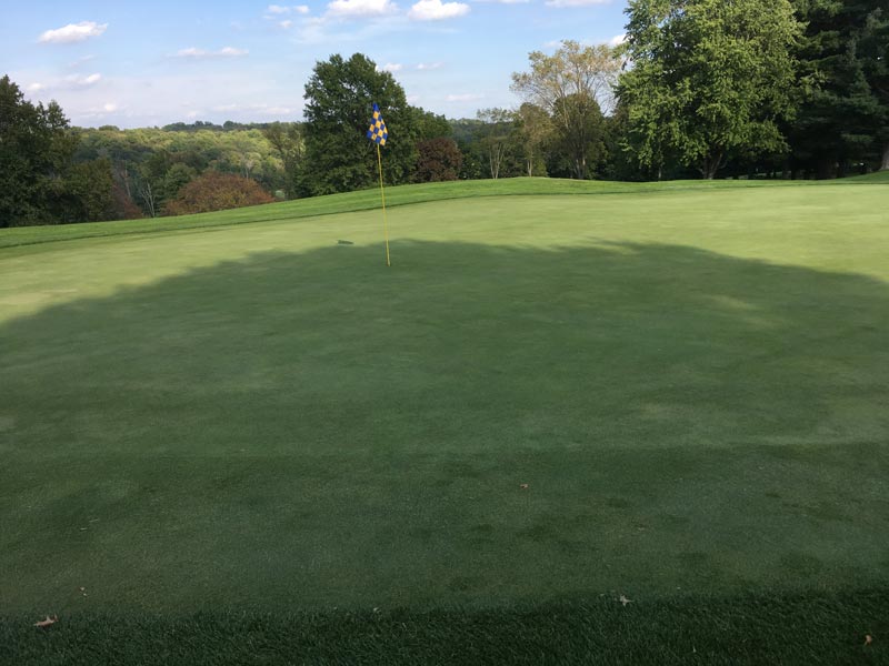 Putting green shade