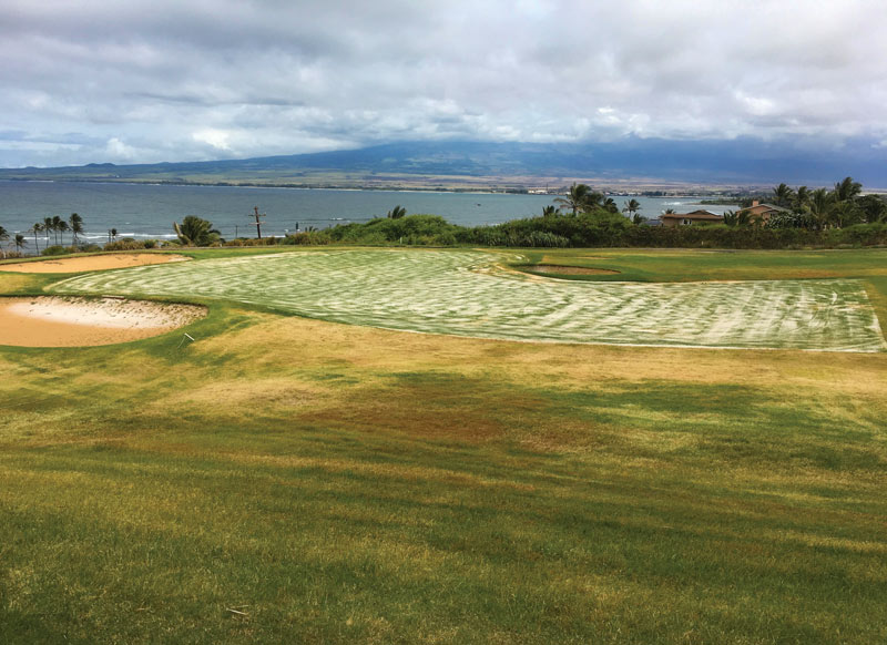 Golf course renovation