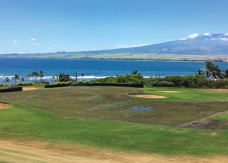 Renovating paradise: Waiehu Golf Course Waiehu golf