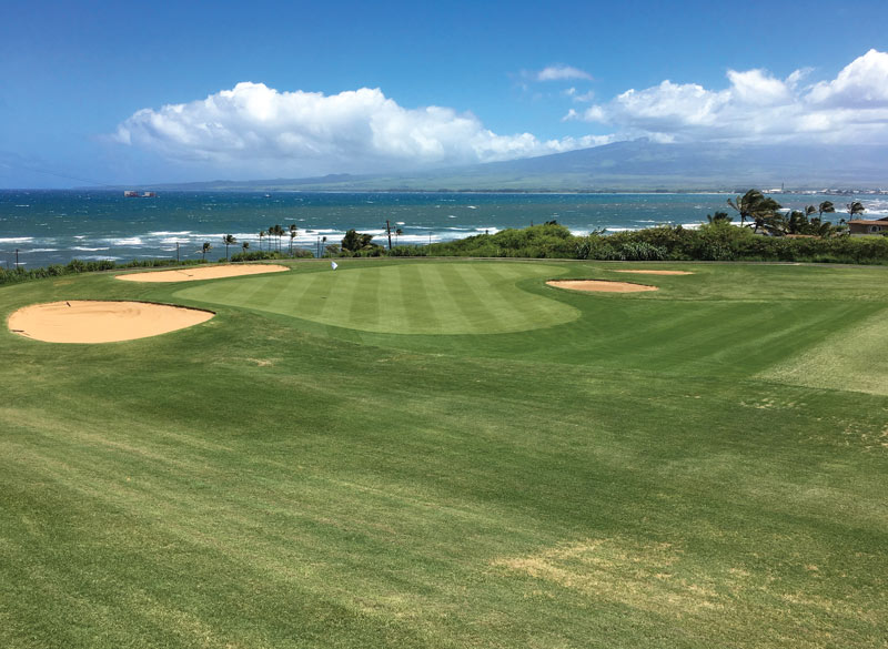 Renovating paradise: Waiehu Golf Course Waiehu Municipal Golf Course