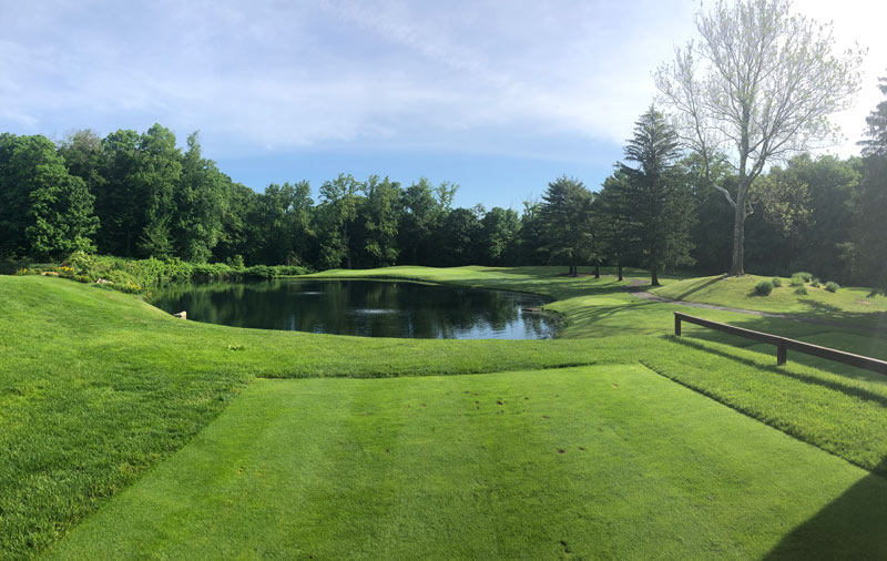 Barley straw pond golf