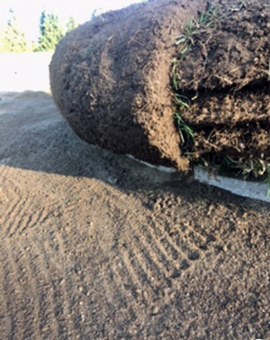 Bunker edges: Inverted-sod technique Bunker edge inverted sod