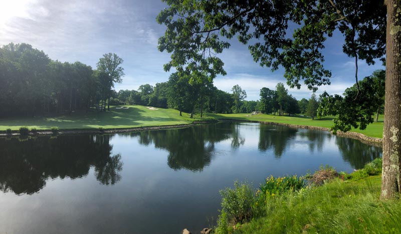 Golf course pond algae