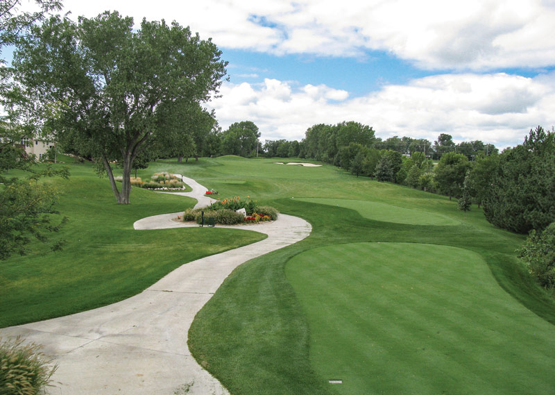 Golf course tee maintenance