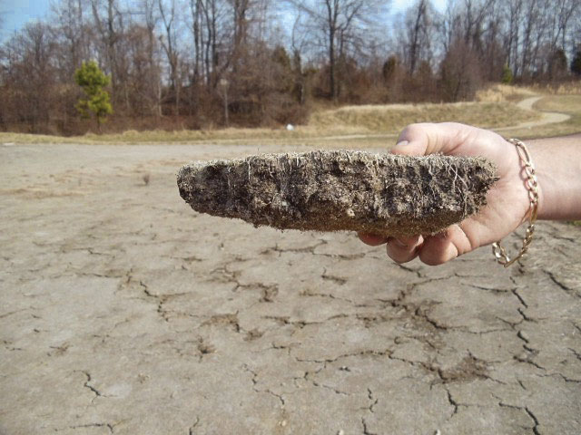 Golf green soil no maintenance