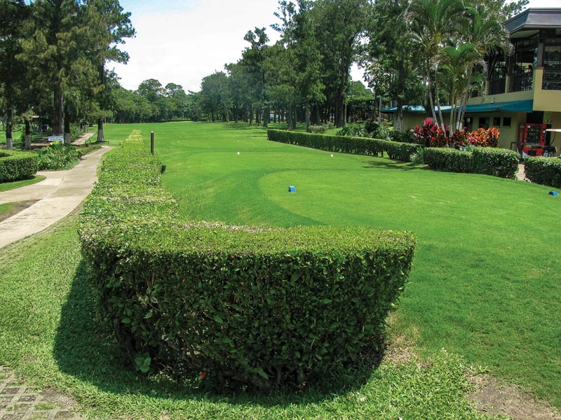 Tee box maintenance tips Tee box maintenance