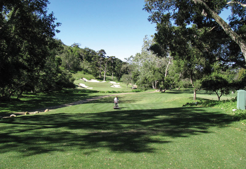 Tee box shade