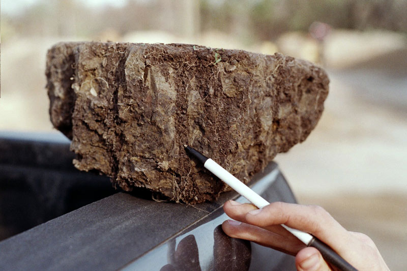 The hole story: Turf managers talk aerification Turfgrass aerification