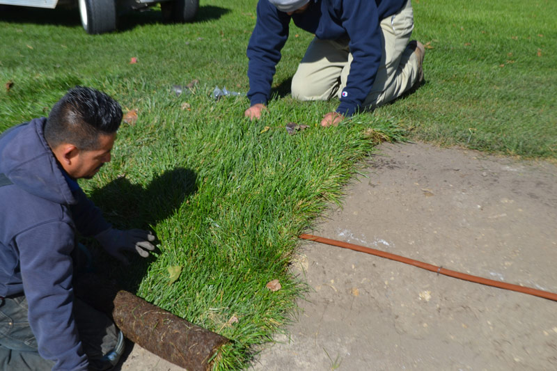 Bunker drip irrigation