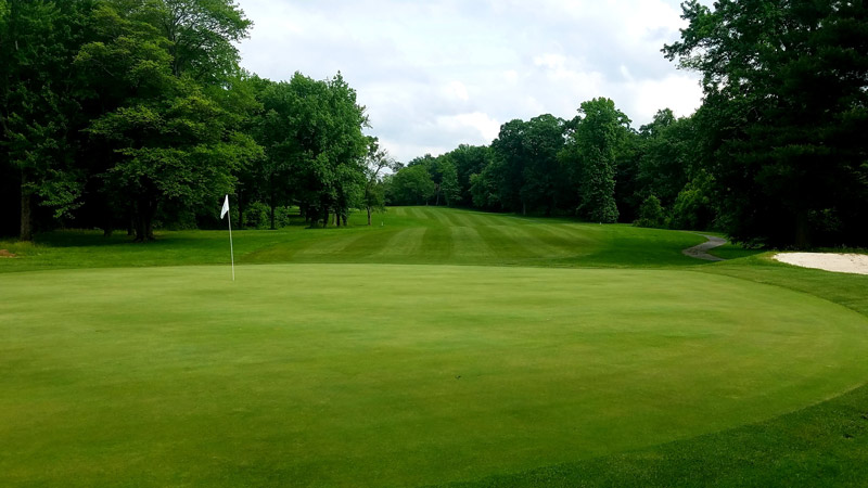 Golf course overseed