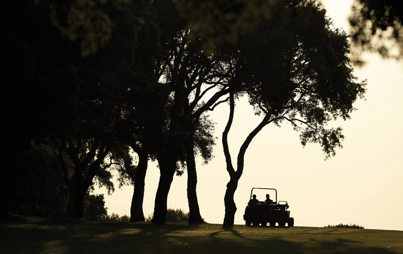 Golf course tree care