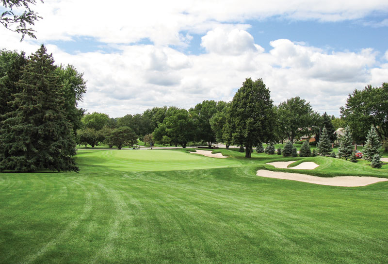 Golf course tree placement