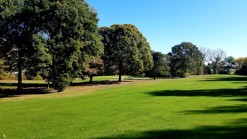 An unconventional golf course overseed Overseed fairway ryegrass