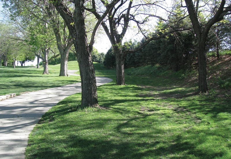 Golf course tree care: Do this, not that Remove trees turf sunlight