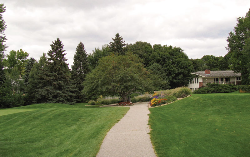 Tree protection golf course