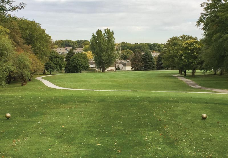 Trees dogleg identification