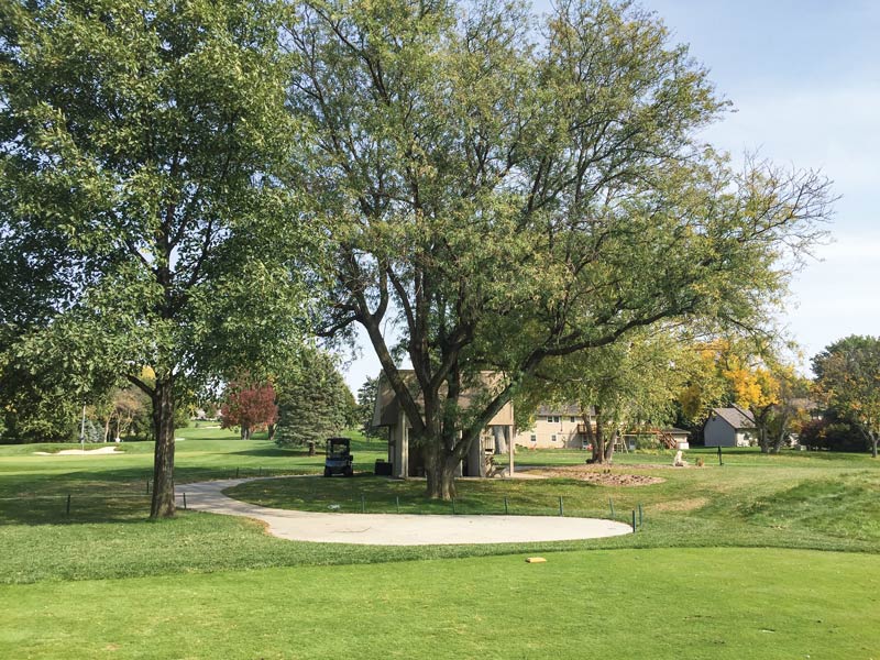 10 functions of golf course trees Trees for shade