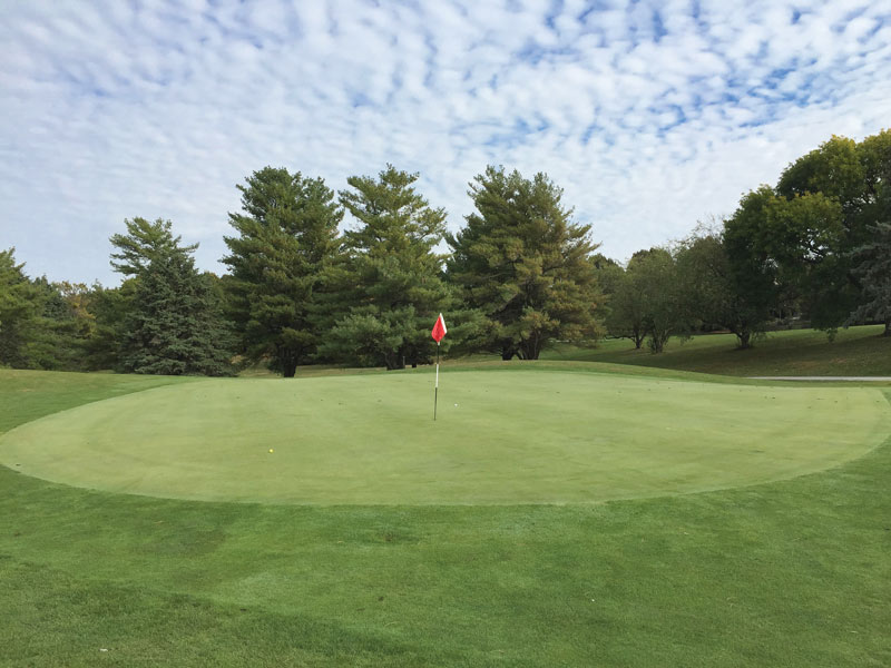 10 functions of golf course trees Trees functions golf course