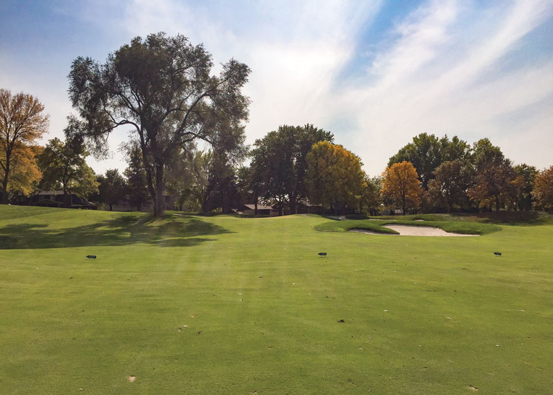 10 functions of golf course trees Trees functions golf