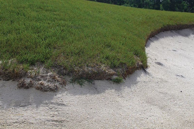 damaged bunker edge