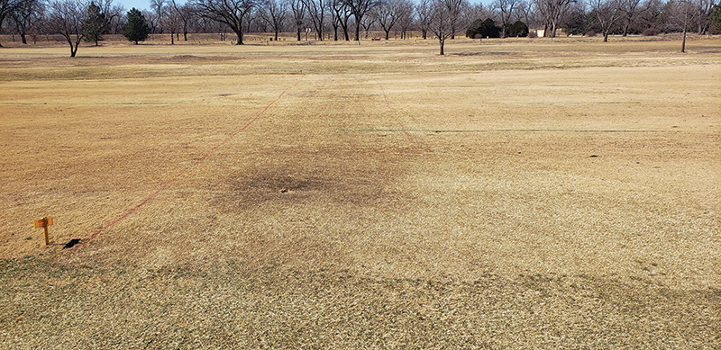 fairway crossover
