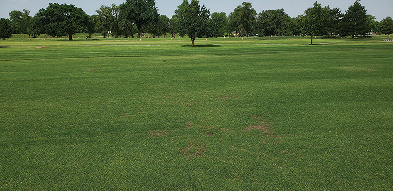 fairway crossover
