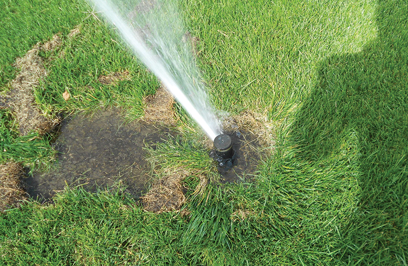 leaking irrigation head