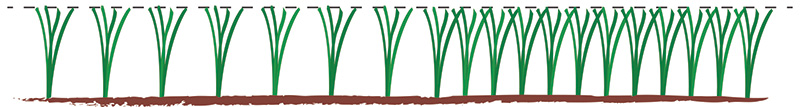 figure 4a and 4b