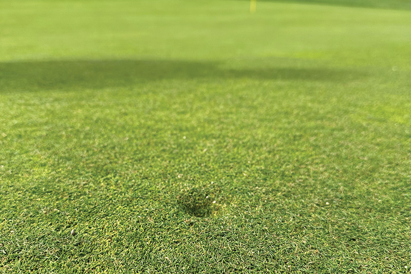 Ball marks on green