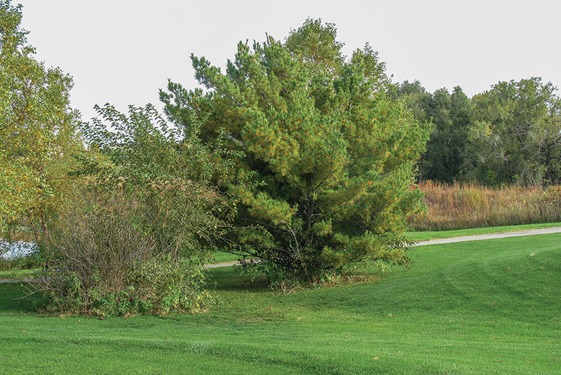 Aerial view of Ghost Creek golf course