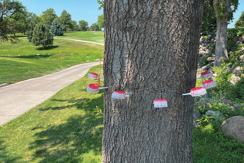 Aerial view of Ghost Creek golf course