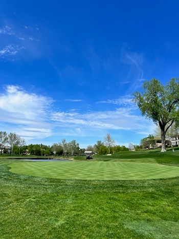 verdant putting green
