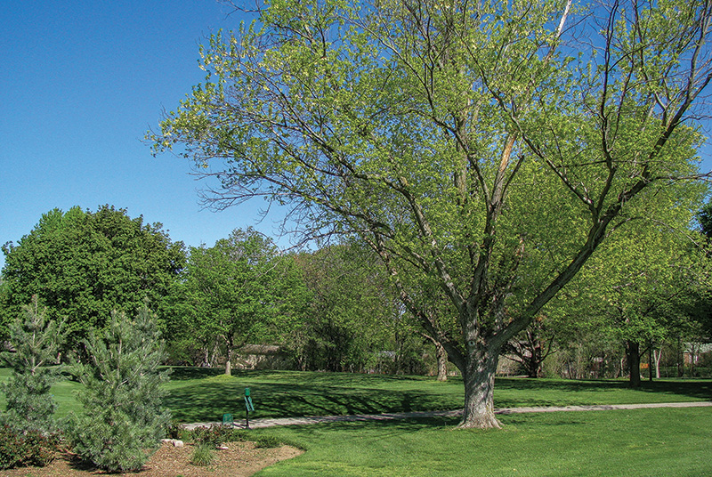 Aerial view of Ghost Creek golf course