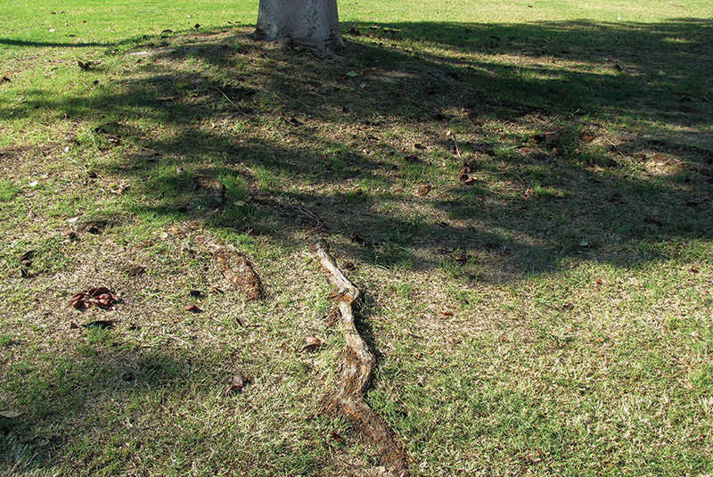 Aerial view of Ghost Creek golf course