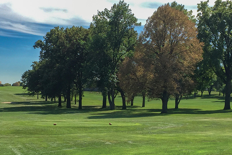 Aerial view of Ghost Creek golf course