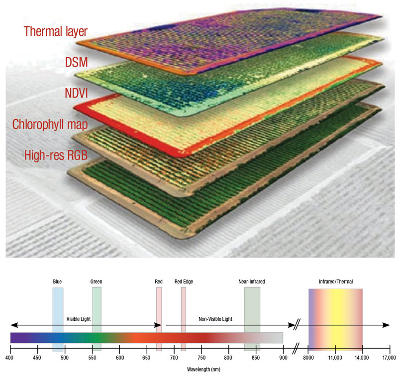 Drone thermal multispectral imagery