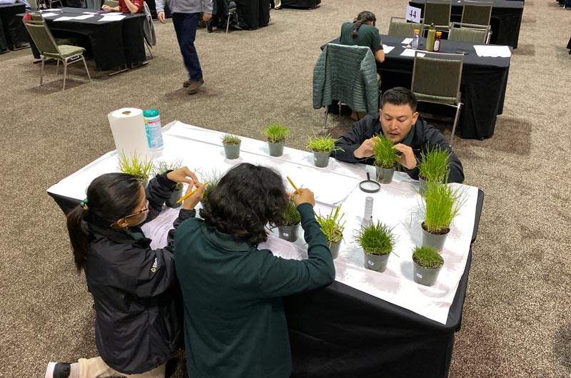 Turf Bowl 2020: A first-ever first place for Cal Poly Pomona Cal Poly Pomona Turf Bowl
