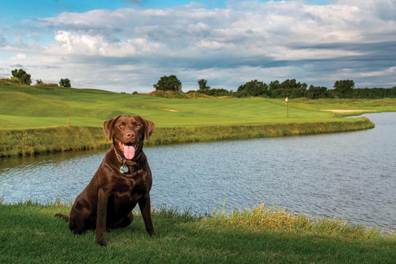 Eagle Eye Golf Club